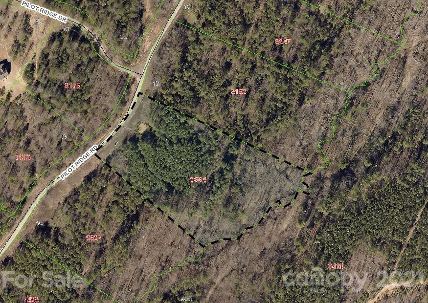 316 Pilot Ridge Road 11