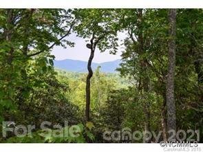 936 Mills River Way