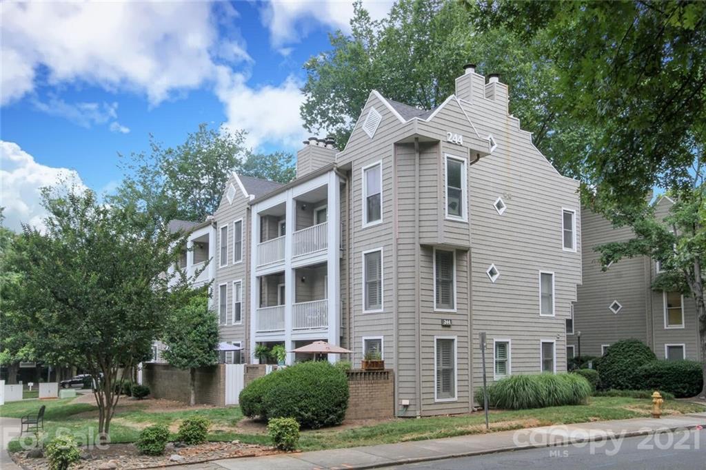 244 Cedar Street