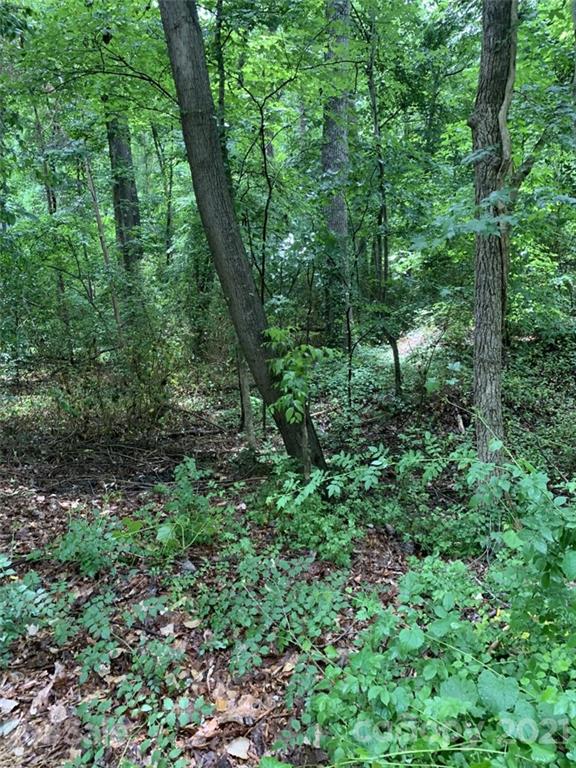 0 Deer Run Road 85