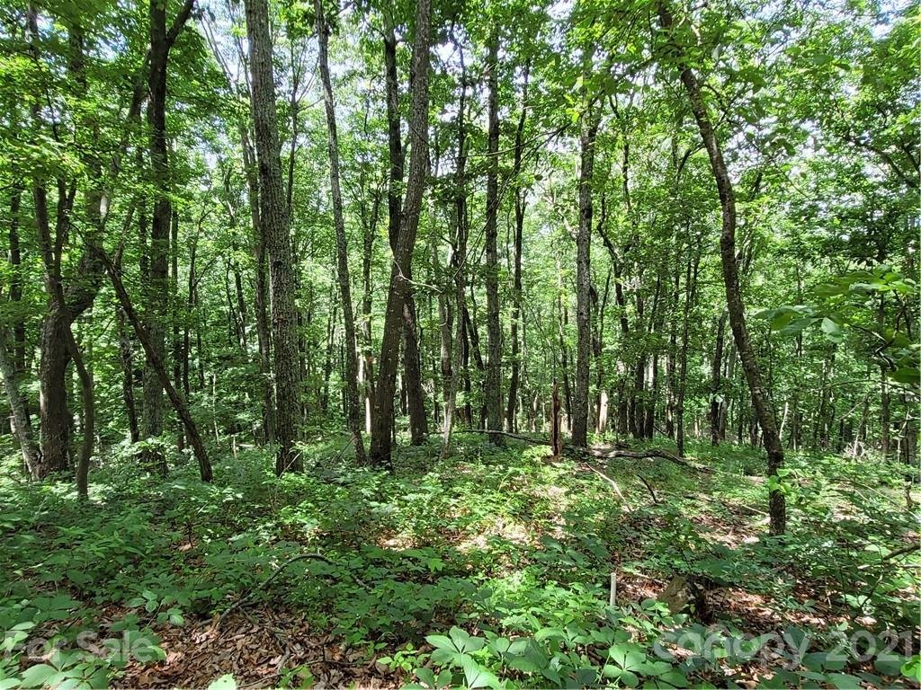 Lot 24 Miller Mountain Road