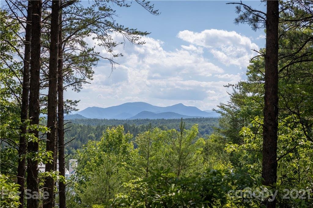 1690 Pisgah Preserve Drive 40,41
