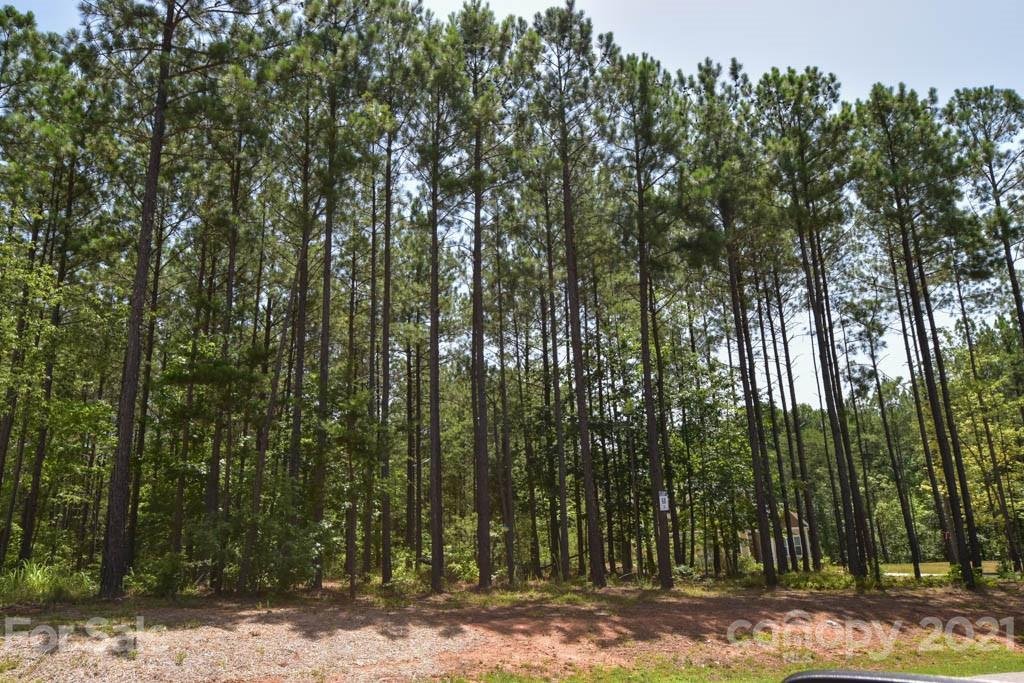 117 Trent Pines Drive