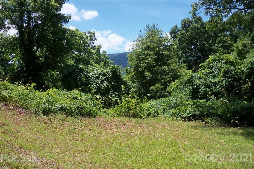 Lot 20 Tanner Trail