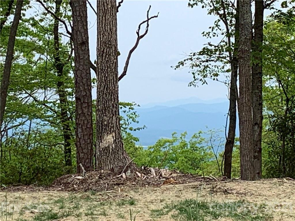 Lot 54 Couch Mountain None