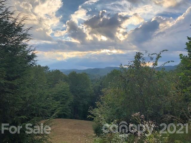 401 Ridge Drive