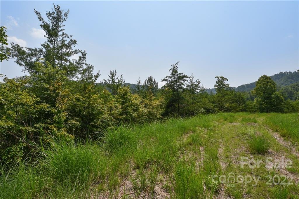 113 Chardonnay Avenue 10