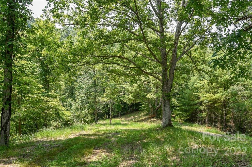 492 The Vines Boulevard 14