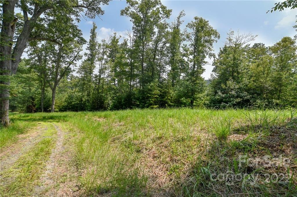 301 The Vines Boulevard 20