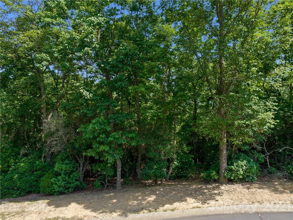 1126 Mills River Way 48