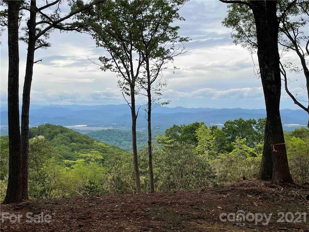 Lot 69 Couch Mountain None