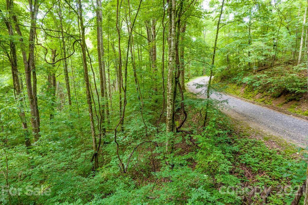 Lot 34 Rainbow Trout Drive