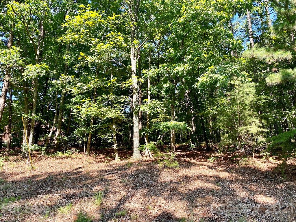 378 Barber Loop 39