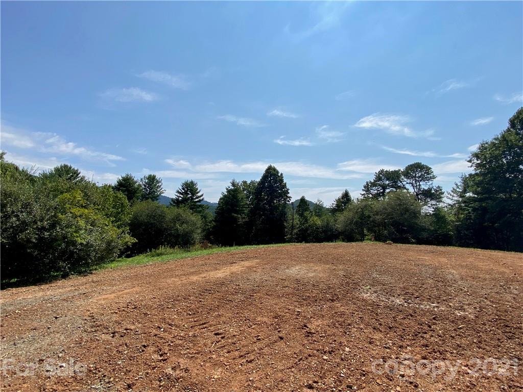 1 Red Maple Lane