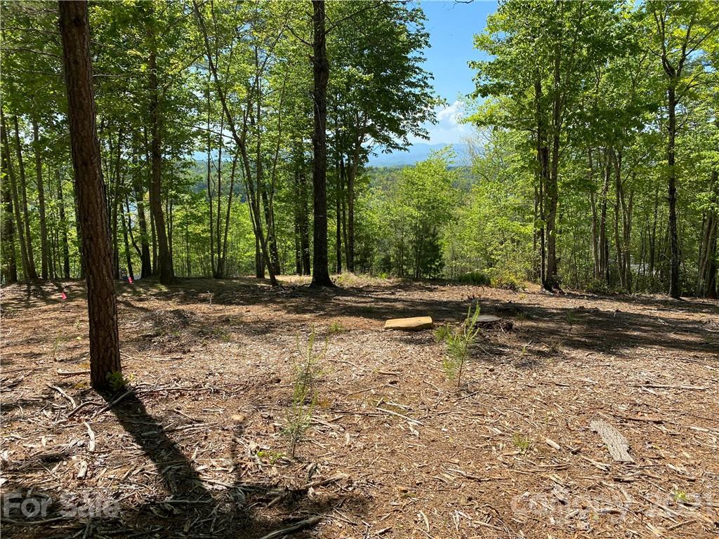 2127 Catawba Trail 167