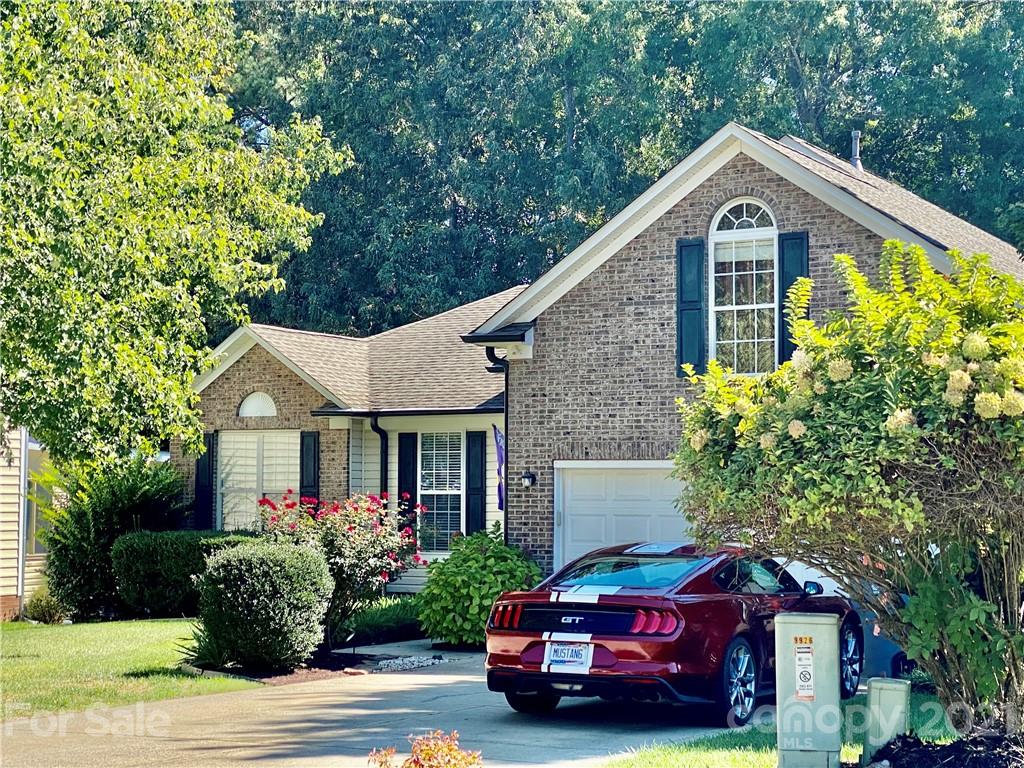 9926 Sandman Lane