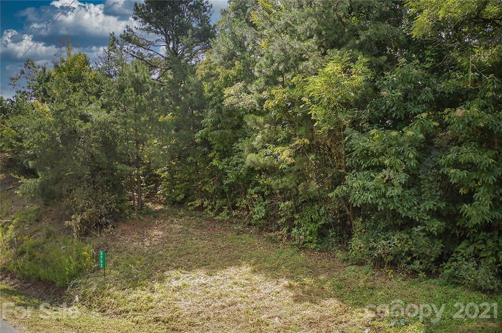 3752 Mountain Vista Drive