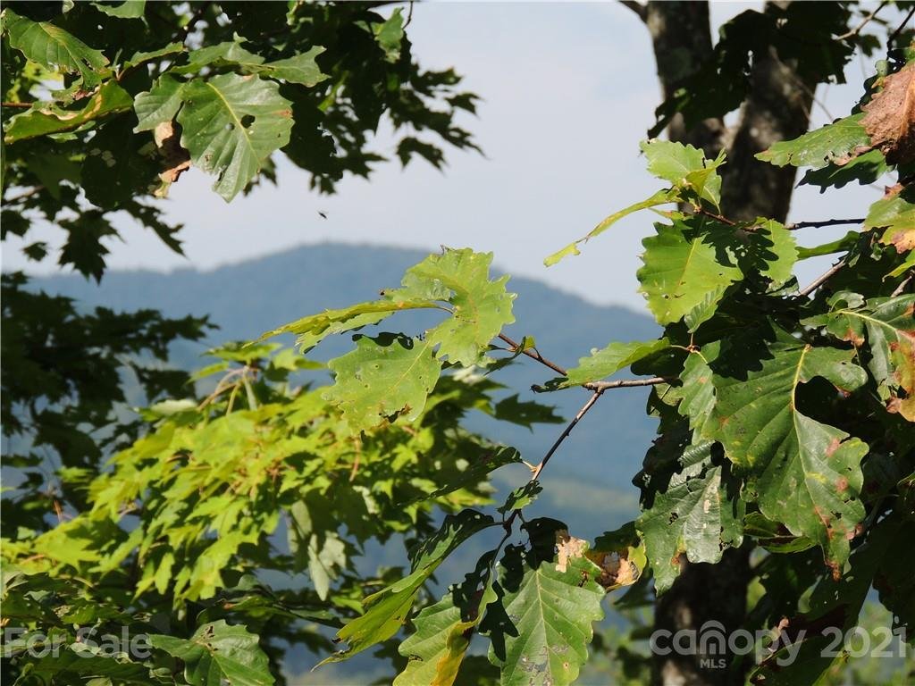 Lot 86 Mountain Lookout Drive LO86