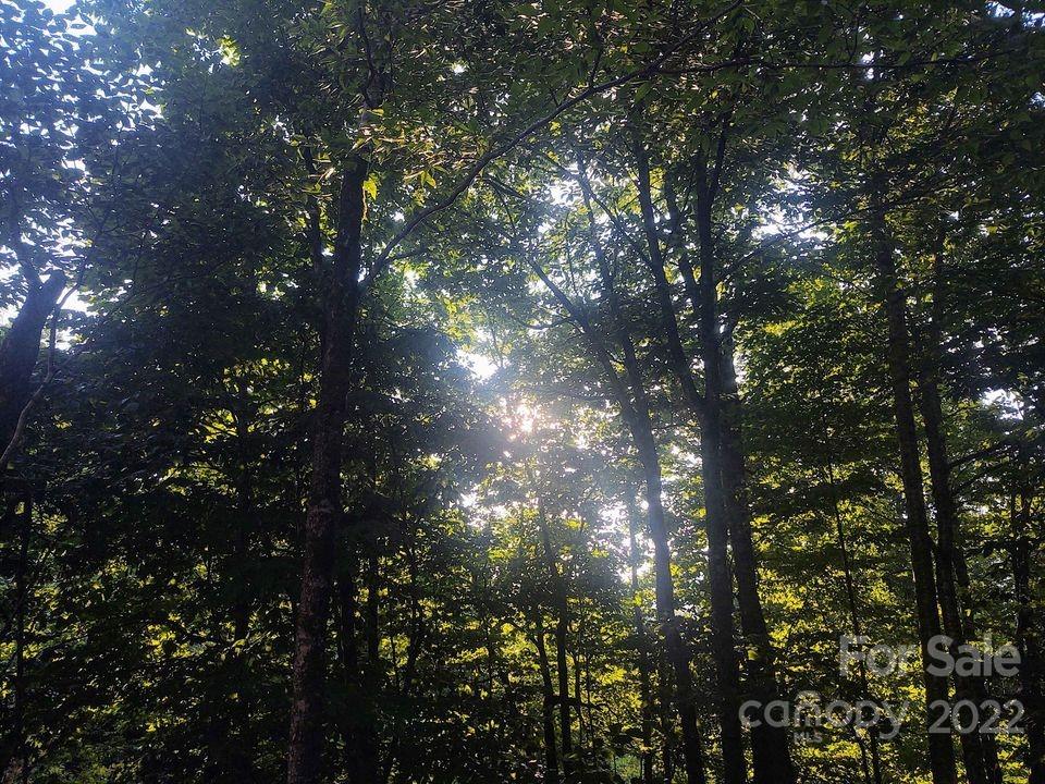 Tbd Spruce Flats Road 39