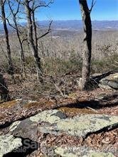 76 Couch Mountain None