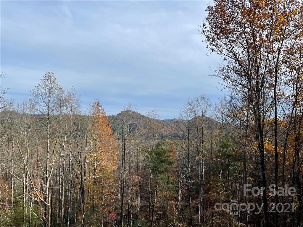 181 Clearview Lane 7