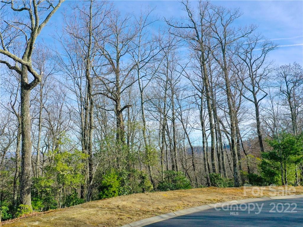 1114 Mills River Way