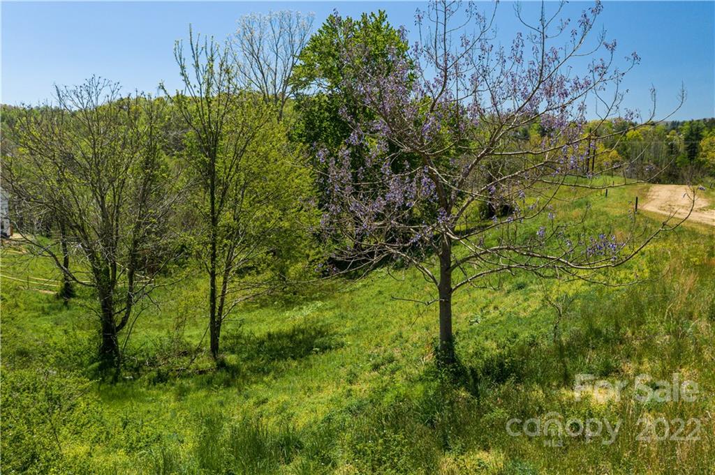 502 Wilma Dykeman Trail 89