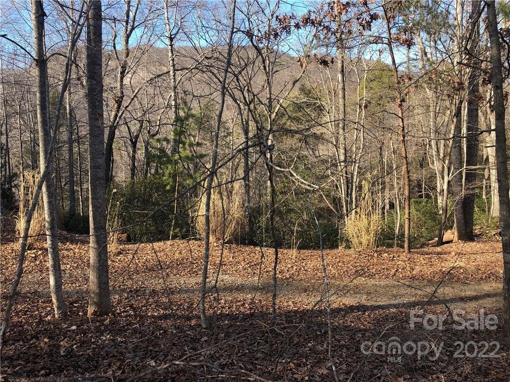 0 Wilderness Road 125
