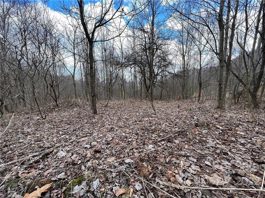 163 View Ridge Parkway
