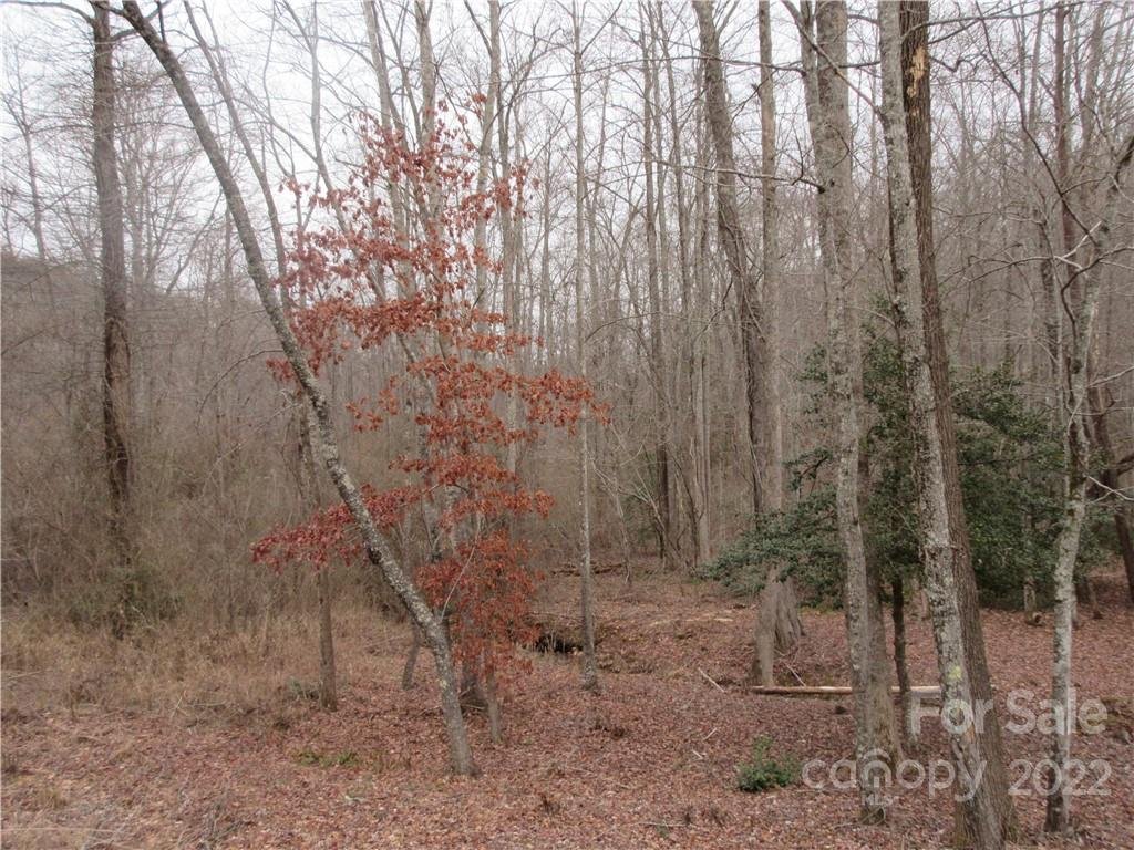 Lot 67 Big Branch Drive