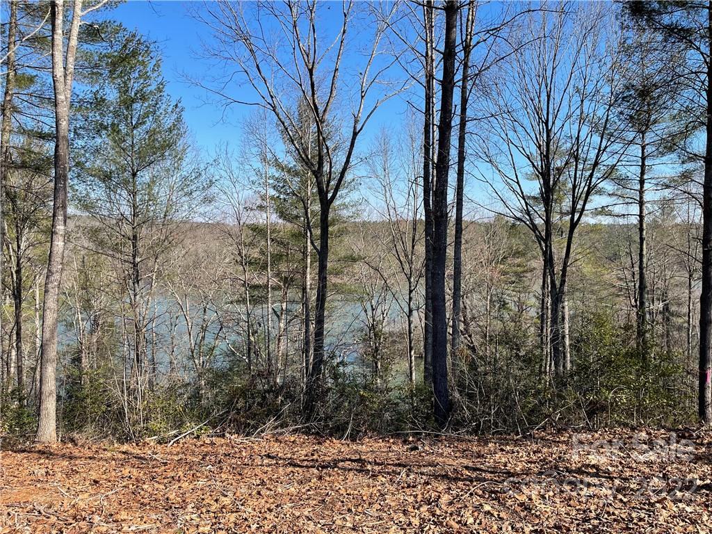 4018 Nesting Lane 32