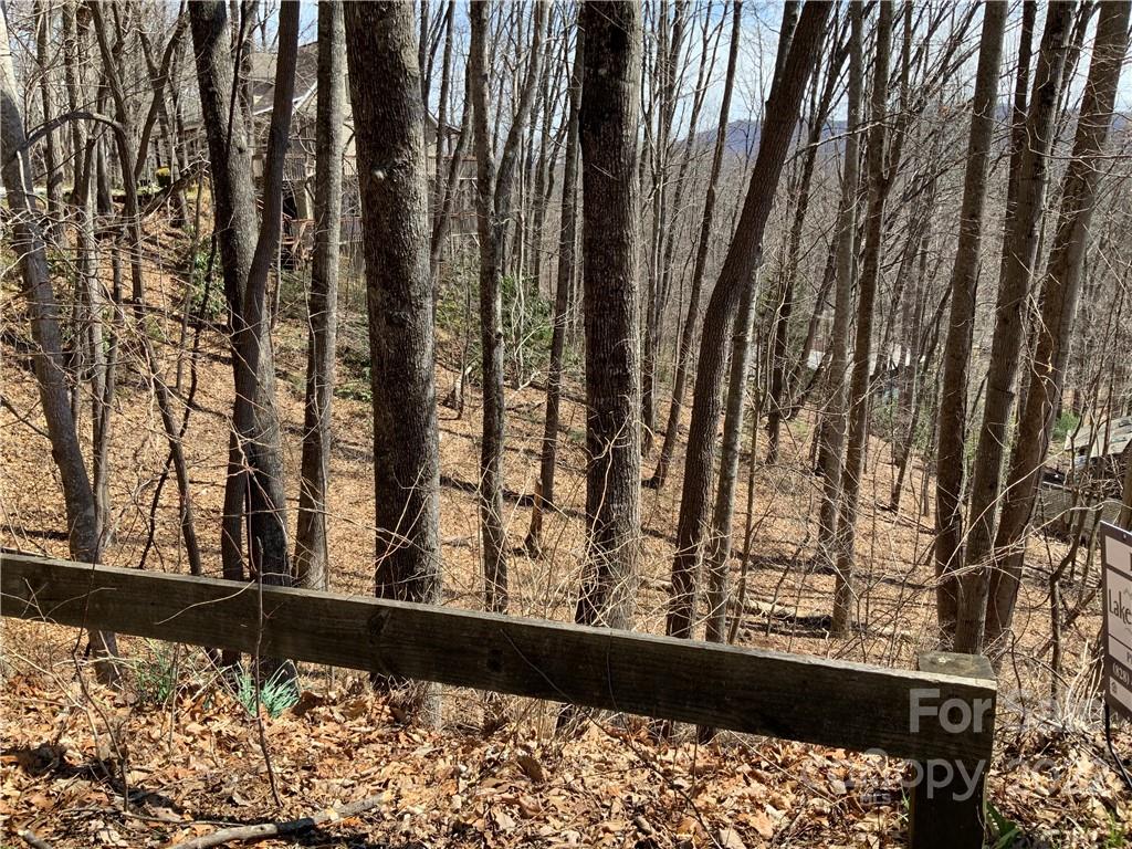 Lot 31 Mouzon Road