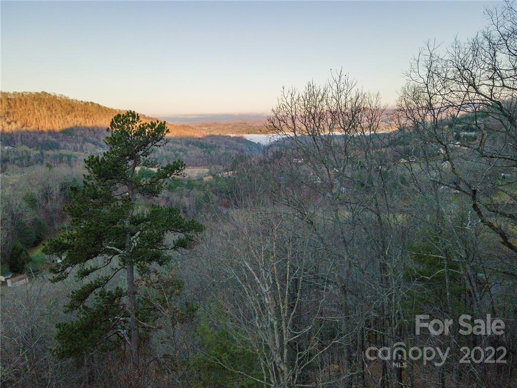 919 Cove Creek Lane 154