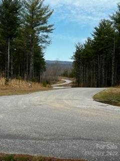 V L Pine Ridge Drive 48
