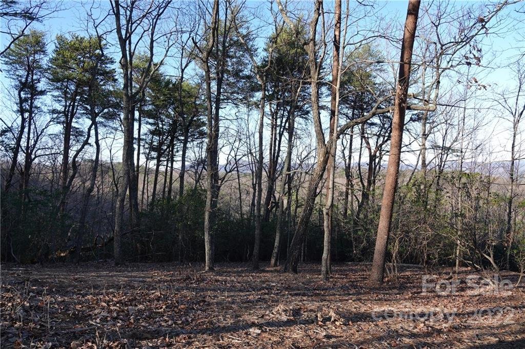 3 Fire Tower Road