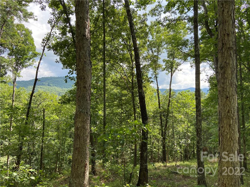 3670 French Broad Parkway 49