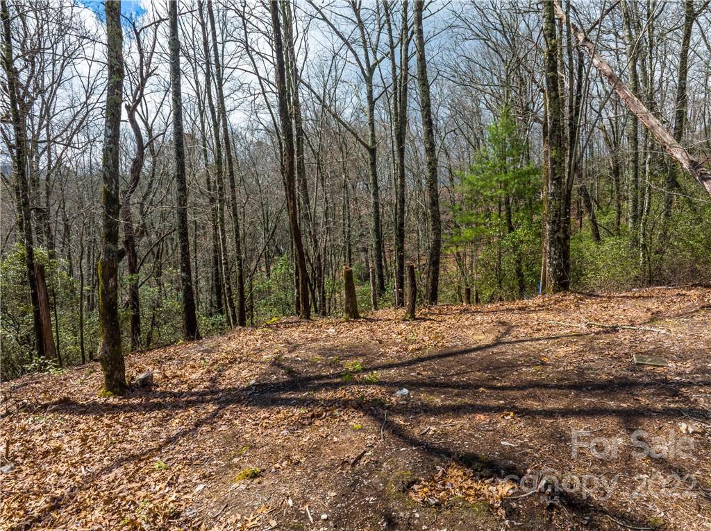 154 Laurel Thicket Drive 98