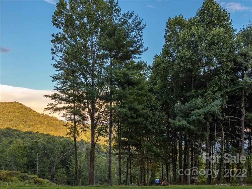 Lot 183 Dancing Bear Drive