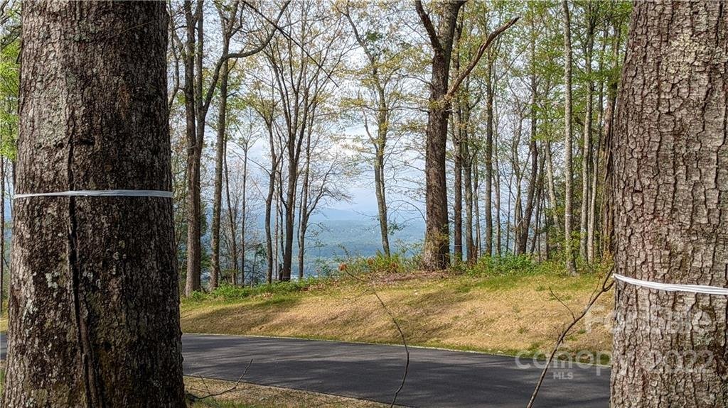 Tbd Mountain Grove Lane Lot 1, Phase 2