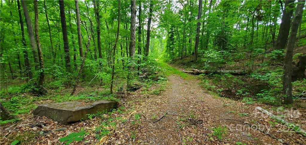 0 Lower Switchback Road 12