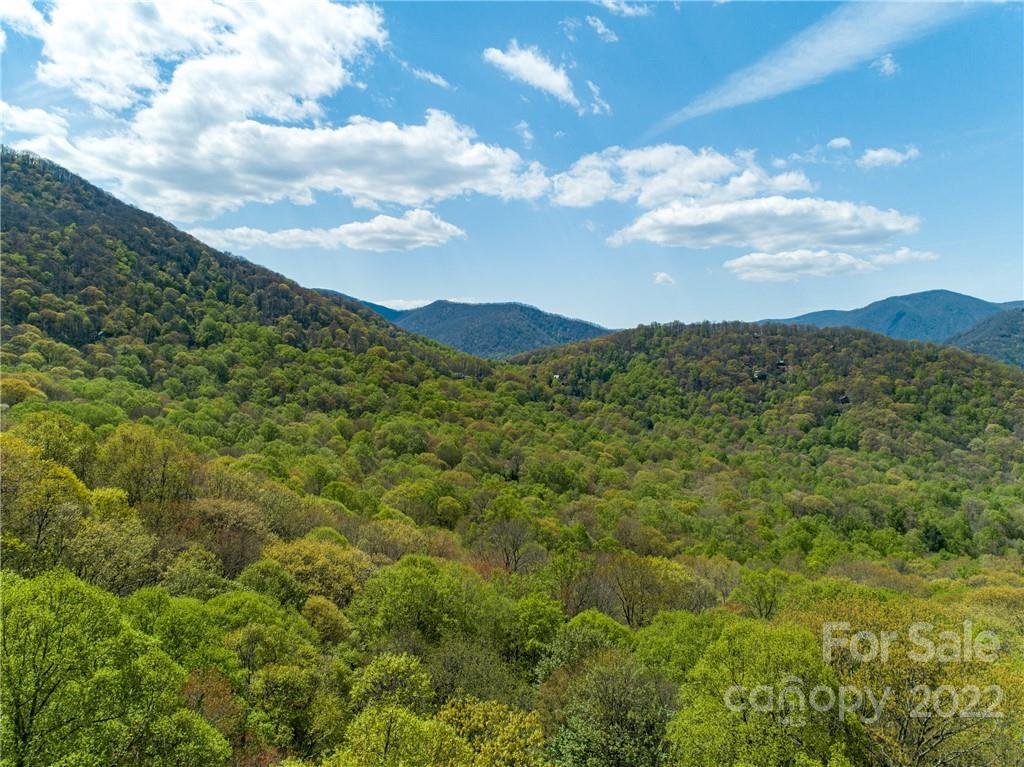 Lot 21 And 22 Dogwood Drive