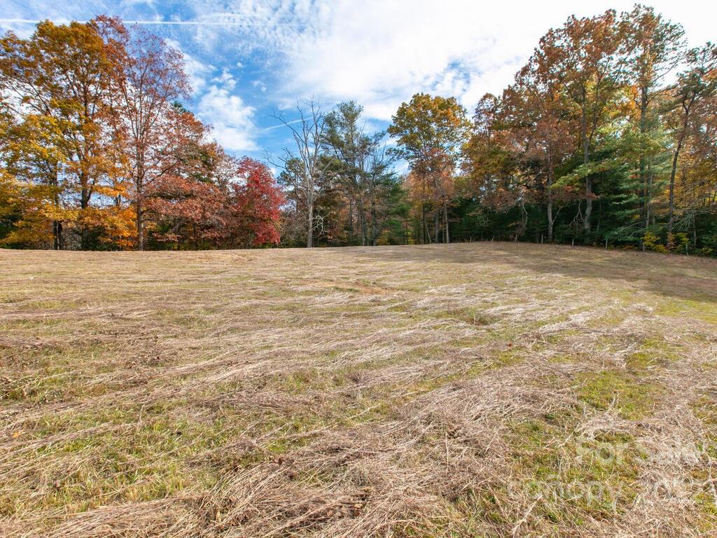 217 Thistle Ridge Court 12