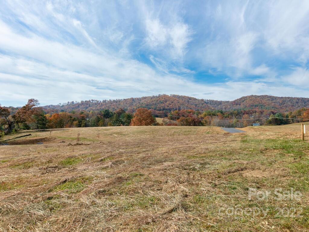 213 Thistle Ridge Court