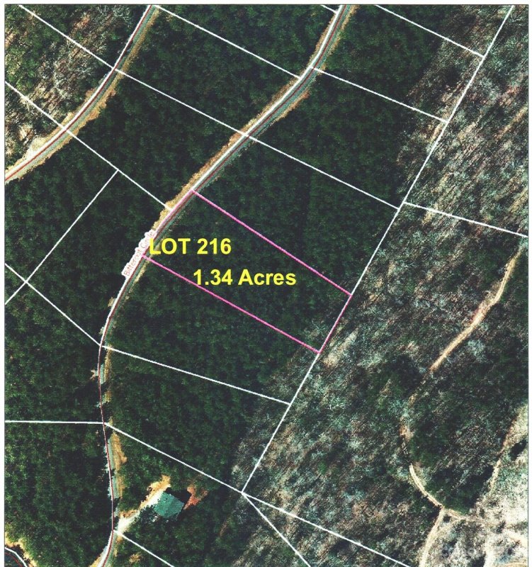 Lot 216 Bitteroot Circle