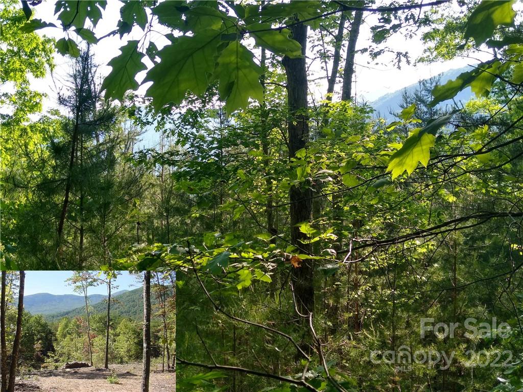 Lot 221 Davids Drive