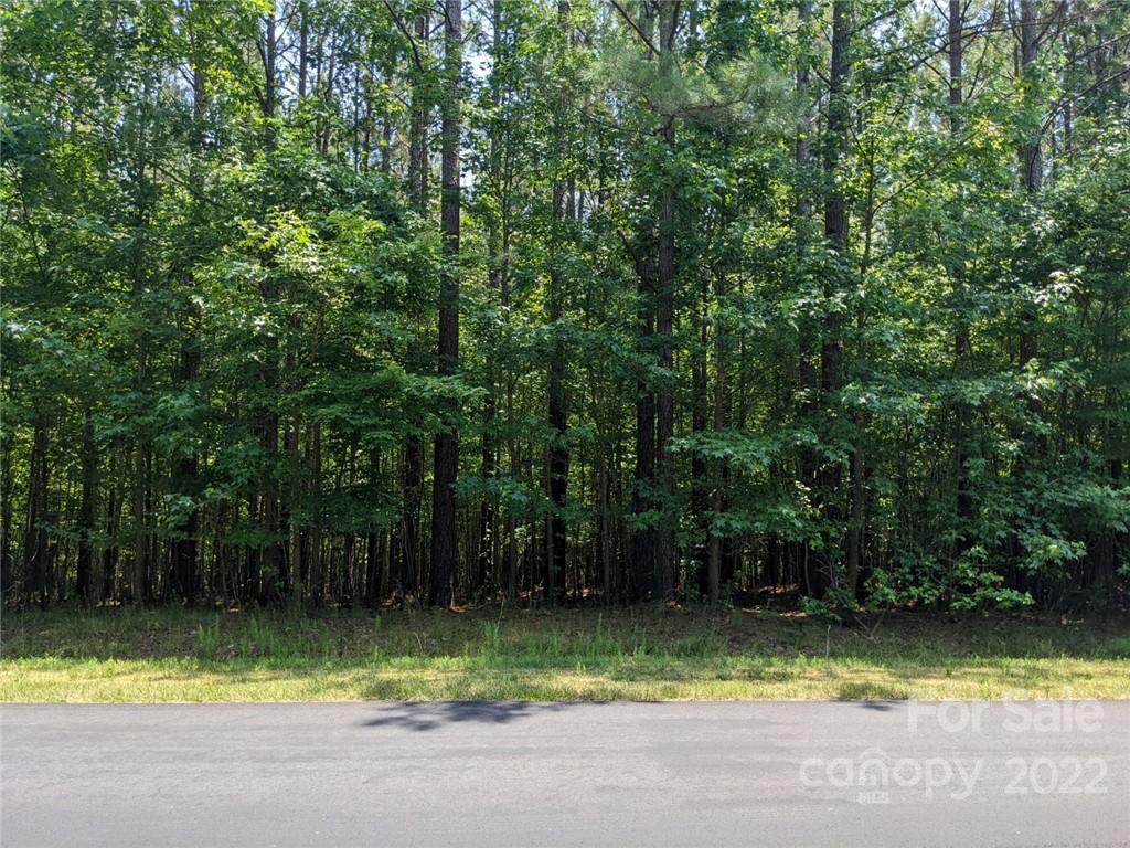 223 Plantation Way 82