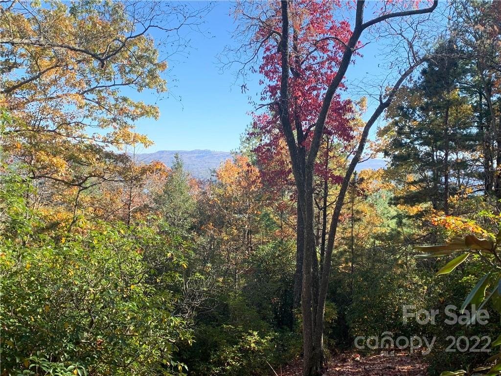 M25 Elk Mountain Trail