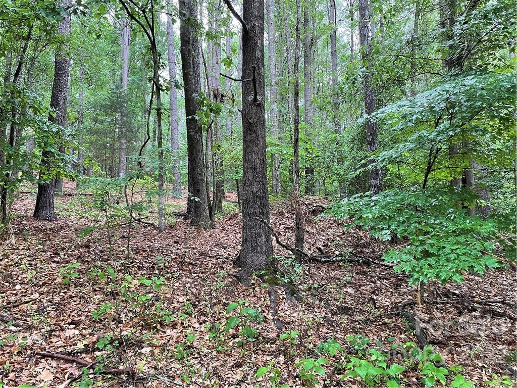 409 Hopewell Church Road