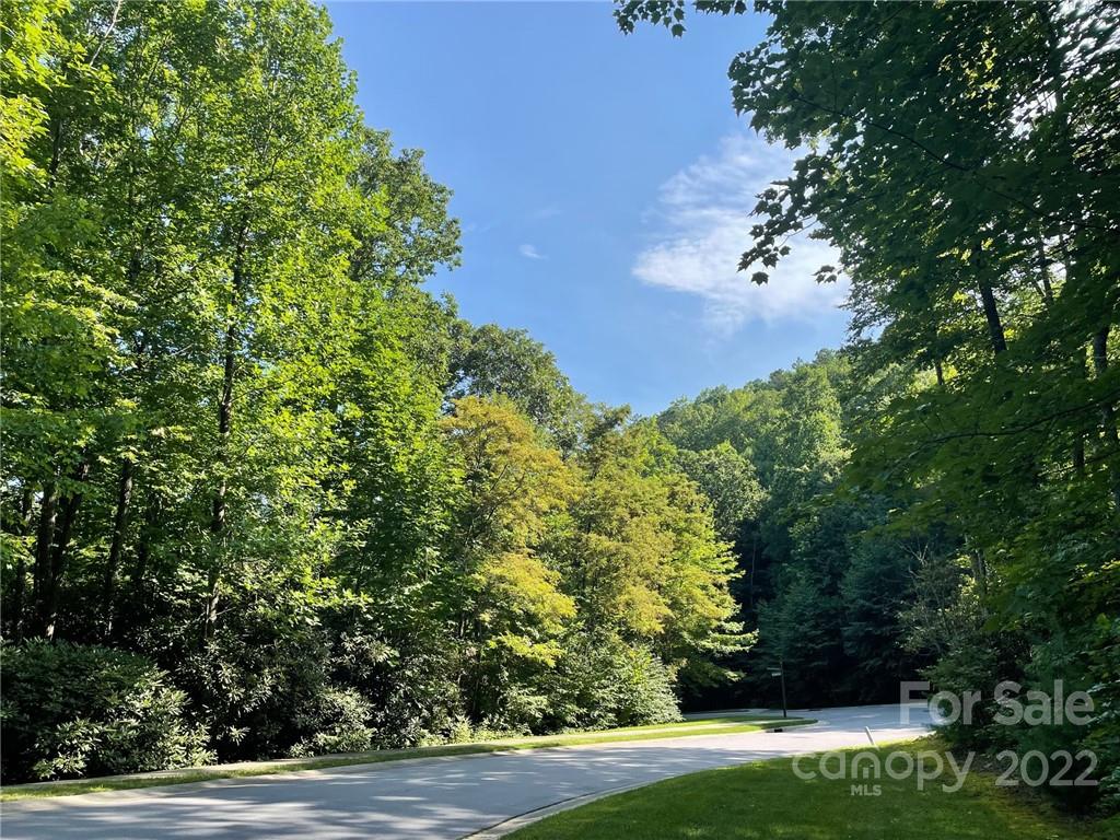 111 Old Lafayette Lane 132