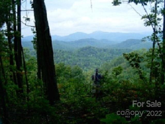 Lot 73 Adirondack Lane